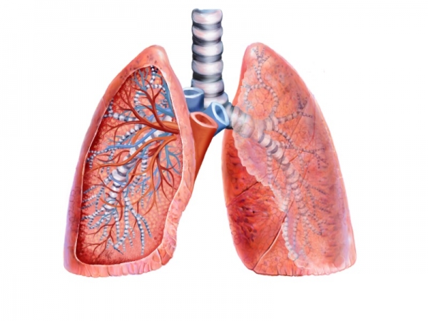 24 marca – pamiętaj o płucach