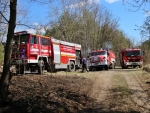 Pożar lasu w okolicach Krążkowa