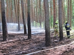 Kolejny pożar lasu