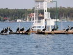 Jezioro Sławskie z łodzi