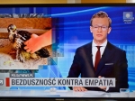 Bezduszność kontra empatia - Polsat o akcji ratowania myszołowa