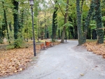 Park Miejski jesienią